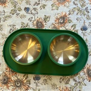 Wild One dog bowl set with mat in green